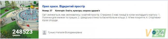 Бруківка та «УЗІ» для песиків: за які проекти лучан проголосували найбільше