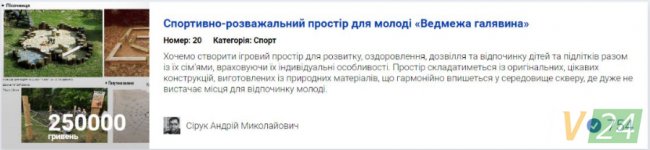 Бруківка та «УЗІ» для песиків: за які проекти лучан проголосували найбільше