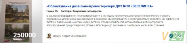 Бруківка та «УЗІ» для песиків: за які проекти лучан проголосували найбільше