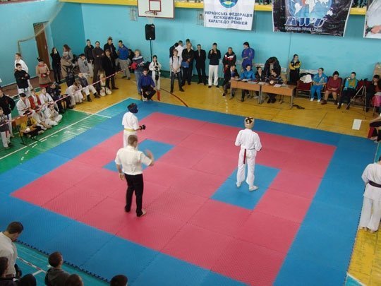 У Нововолинську змагалися каратисти. ФОТО