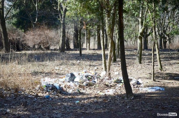 У луцькому парку зноситимуть дерева