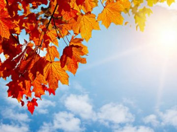 Погода в Луцьку та Волинській області на завтра, 12 жовтня