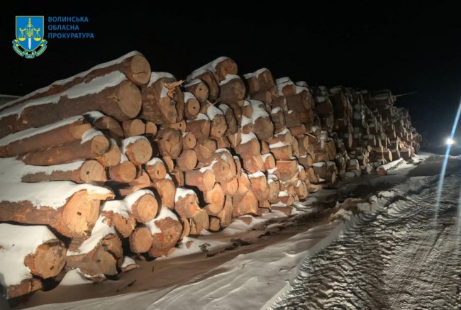 На Волині конфісковану в «чорних лісорубів» деревину продали за понад мільйон гривень