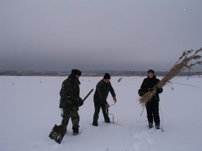 У «Цуманській пущі» рятували рибу від задухи