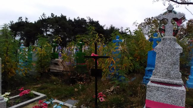 У Шацьку буде толока на кладовищі