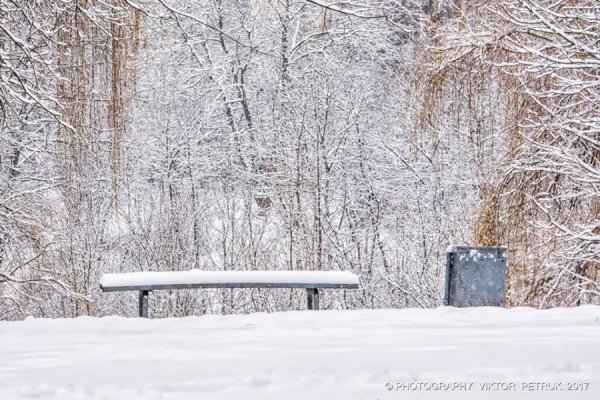 У мережі показали казковий луцький парк під снігом