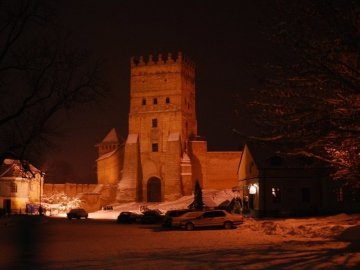 Понад півтори тисячі волинських пам'яток включили до державного електронного реєстру