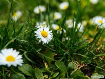 Погода в Луцьку та Волинській області на п'ятницю, 17 квітня