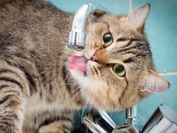 Мешканці волинського міста на один день залишаться без води