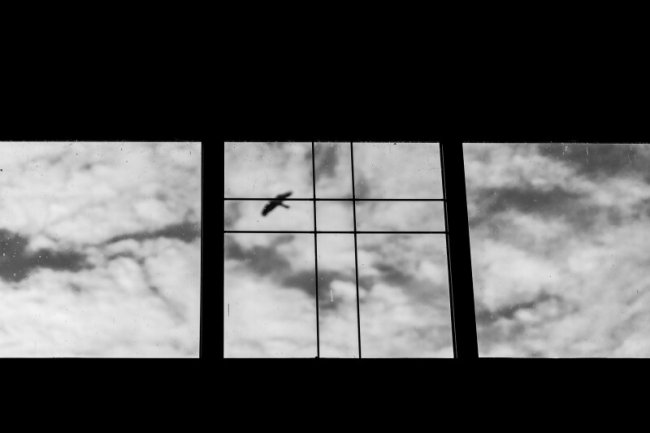 У Луцьку провели в останню дорогу Героя Сергія Собчука