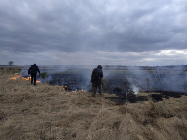 На Волині спіймали  «на гарячому» палія сухої трави