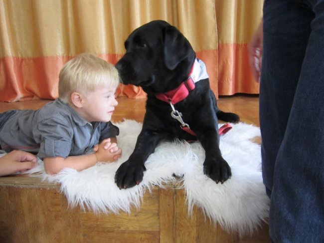 У Луцьку діти читали собакам книжки. ФОТО