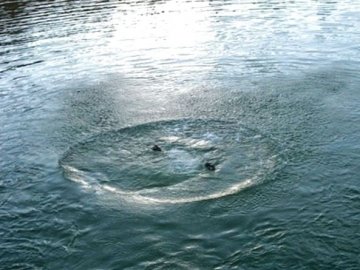 У Ковелі в ставку втопився 20-річний хлопець