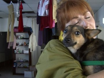 У Луцьку запрацював пункт допомоги переселенцям з тваринами