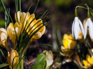 Погода в Луцьку та Волинській області на п'ятницю, 3 квітня