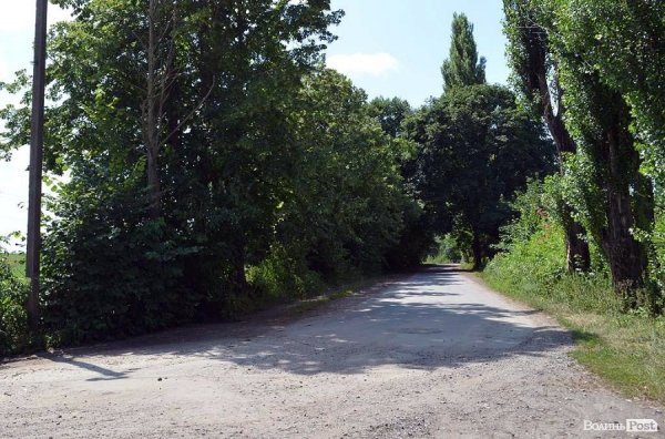 Від повороту з траси до ставка – 1,5 кілометра.