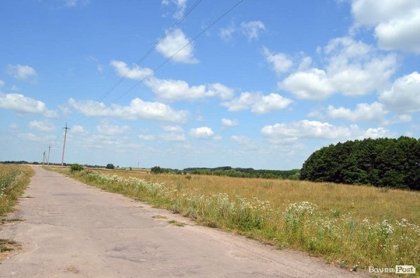 Минаємо кладовище й опиняємося в полі, трохи далі – ліс.