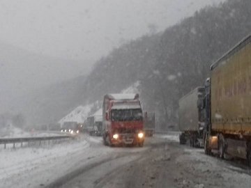 Україна в «полоні» снігу: затори на дорогах, повалені дерева і вимушені канікули 