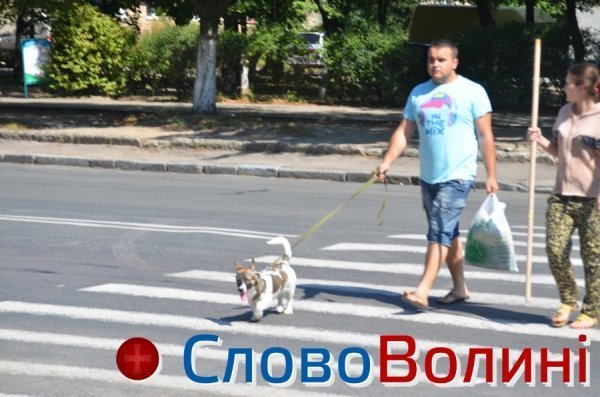 Лучани на «зебрі». ФОТО