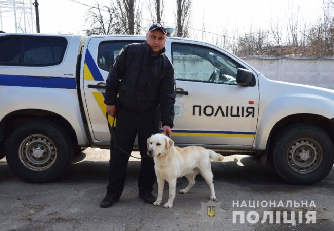 Як живеться хвостатим «службовцям» у кінологічному центрі волинської поліції