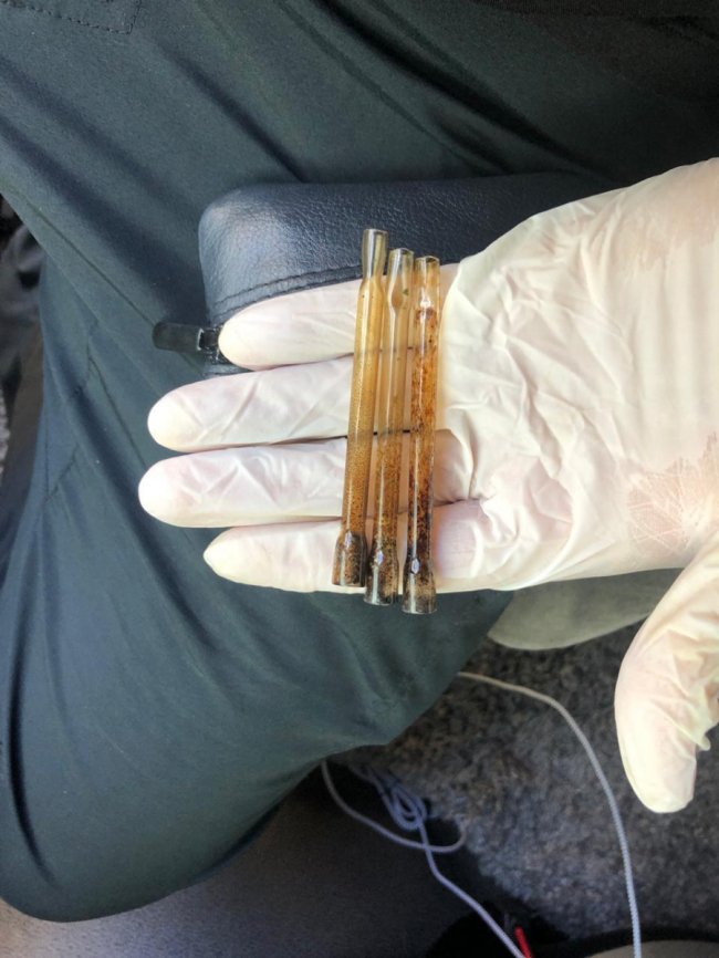 На «Ягодині» у водія вантажівки, який їхав з Польщі, знайшли наркотики. ФОТО