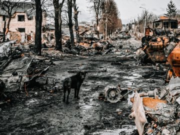 Українські війська за добу ліквідували 350 окупантів, – Генштаб