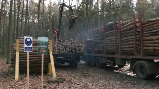 На Волині заготовляють дрова для військових та жителів Миколаївщини. ФОТО. ВІДЕО