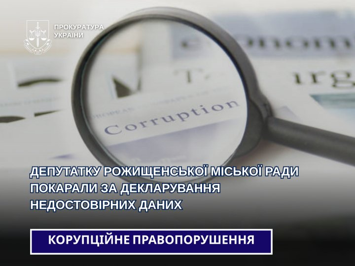 Депутатка міської ради на Волині подала недостовірну декларацію: як її покарав суд