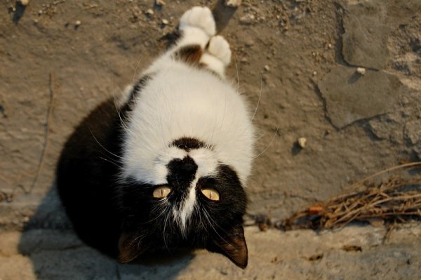 Фотовиставка Ірини Ільчук 