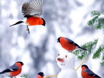 Погода в Луцьку та Волинській області на завтра, 13 лютого