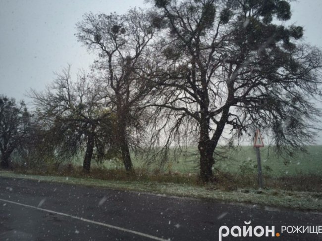 Мокрий і лапатий: на Волині - сніг. ФОТО