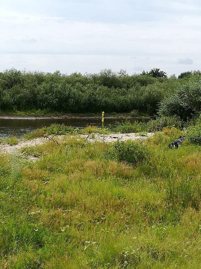 В річці на Рівненщині під час риболовлі втопився чоловік. ФОТО