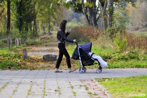 «Бабине літо» і «бебі-бум» Луцьку. ФОТО