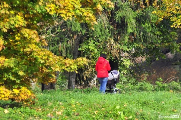 «Бабине літо» і «бебі-бум» Луцьку. ФОТО