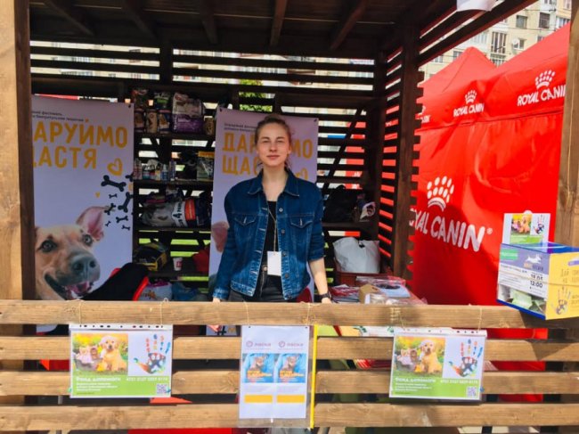 «Мокрі носики»: під час фестивалю знайшли господарів для 11 песиків. ФОТО
