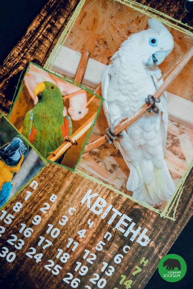 Зубаті і хвостаті: випустили календар з мешканцями луцького зоопарку. ФОТО