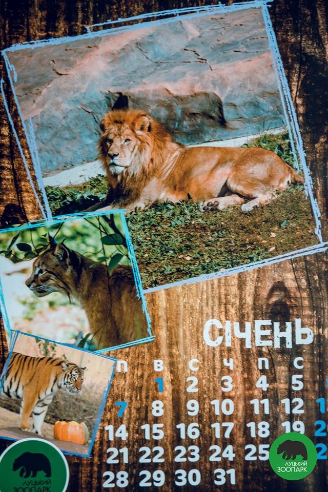 Зубаті і хвостаті: випустили календар з мешканцями луцького зоопарку. ФОТО