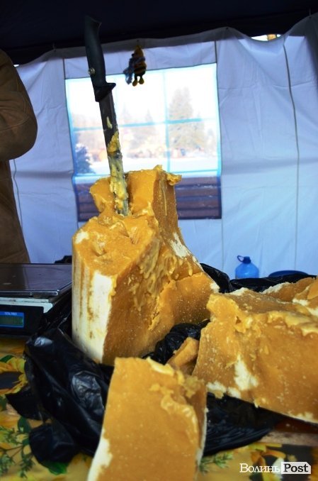 У Луцьку куштують, п’ють та лікуються медами. ФОТО  