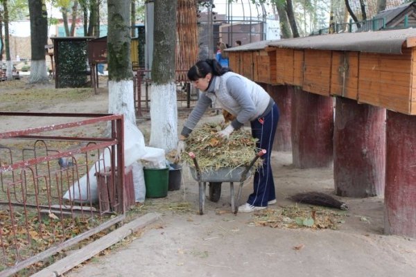 У Луцькому зоопарку наводять чистоту до відкриття. ФОТО