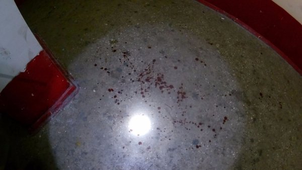 Лучанин через сварку з дівчиною залив кров’ю під’їзд