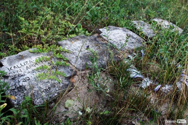 Мандруючи Волинню: костел ордену домініканців, забутий Богом і людьми. ФОТО