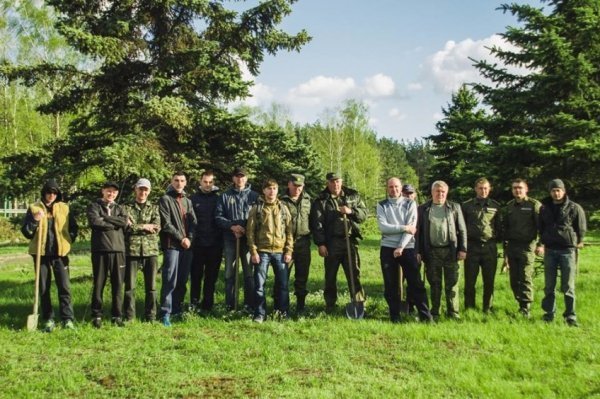 На Волині військові висадили липову алею. ФОТО