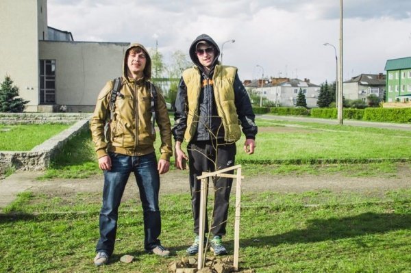 На Волині військові висадили липову алею. ФОТО