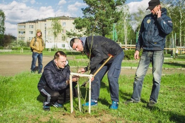 На Волині військові висадили липову алею. ФОТО