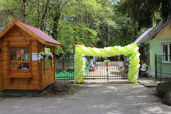 Новини з минулого. Пікети у Луцьку та загиблі в АТО