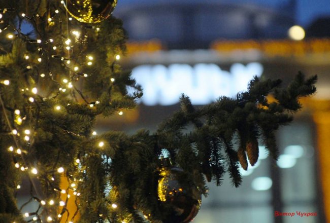 Святкові вогні вечірнього Луцька. ФОТО