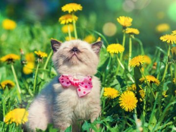 Погода в Луцьку та Волинській області на п'ятницю, 22 травня