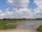 «Стир перетворився на болото»: лучани просять очистити заплаву річки