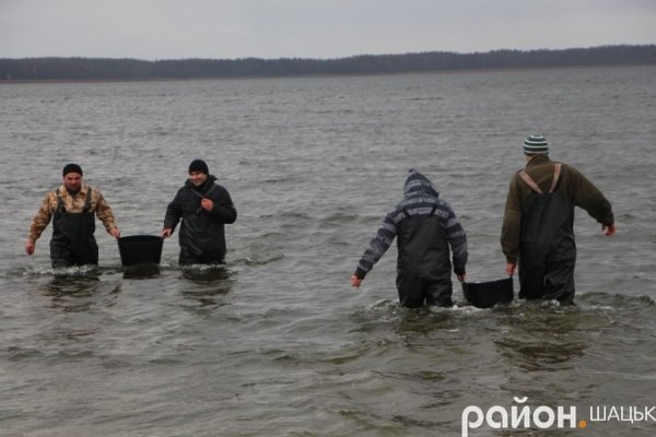 У волинське озеро випустили коропів
