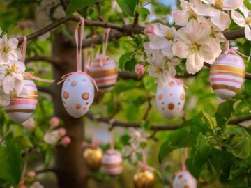 Про секрети випікання паски та поцуплену ворожу вантажівку: добрі новини від ВолиньPost за 21 квітня